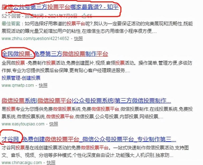 网上投票赚钱项目，靠执行力如何月入过万元？技巧分享