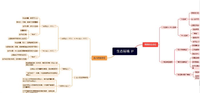 不夸张的说，海外达人投放水更深